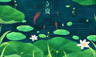 立夏养生小常识 立夏养生小常识有哪些
