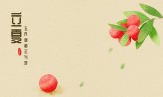 立夏节气诗词 关于立夏节气诗词