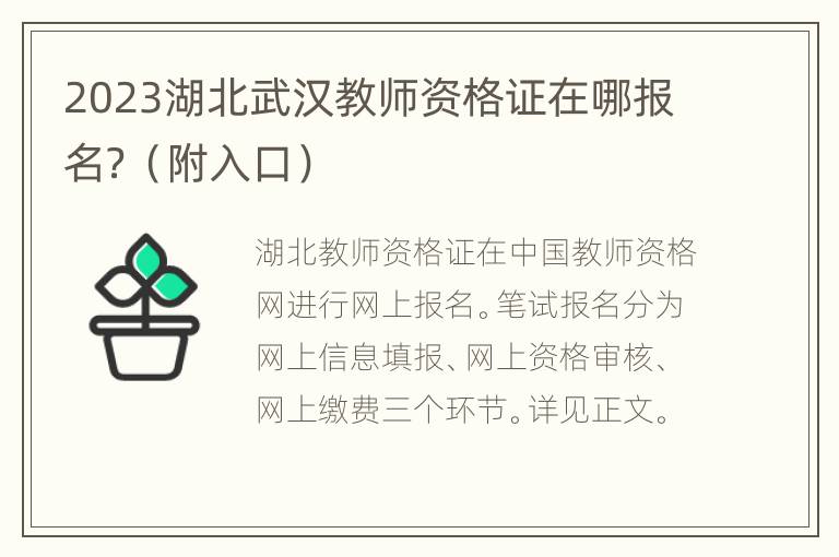 2023湖北武汉教师资格证在哪报名？（附入口）
