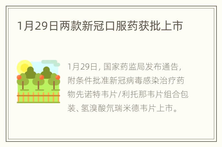 1月29日两款新冠口服药获批上市
