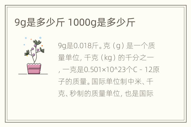 9g是多少斤 1000g是多少斤