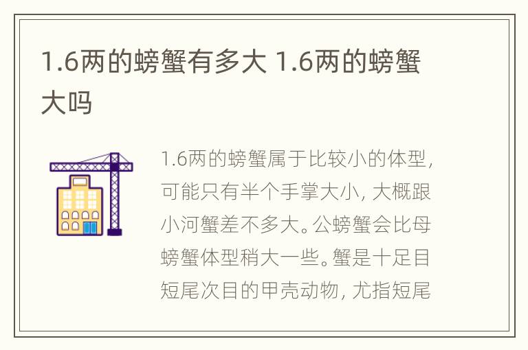 1.6两的螃蟹有多大 1.6两的螃蟹大吗