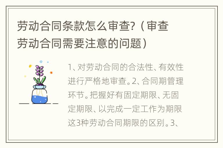 劳动合同条款怎么审查？（审查劳动合同需要注意的问题）