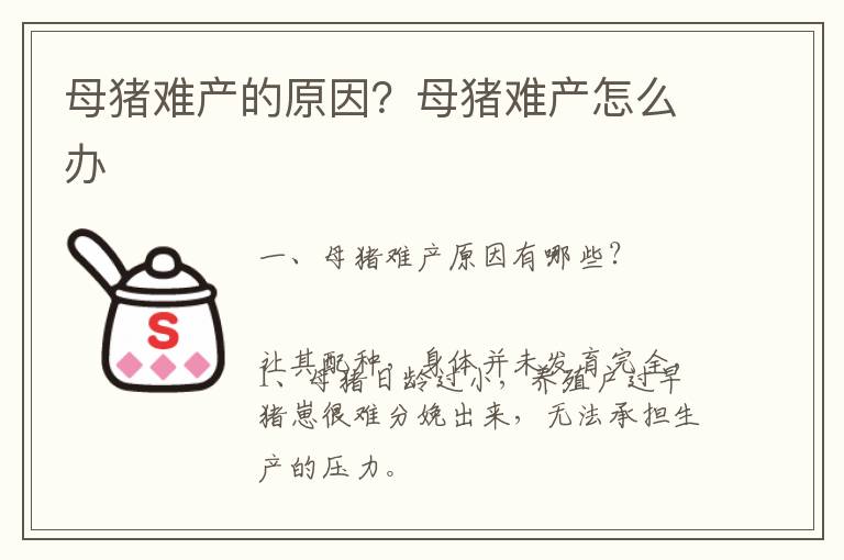 母猪难产的原因？母猪难产怎么办