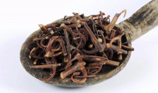 钩藤陈皮的功效与作用 钩藤陈皮的功效与作用是哪些