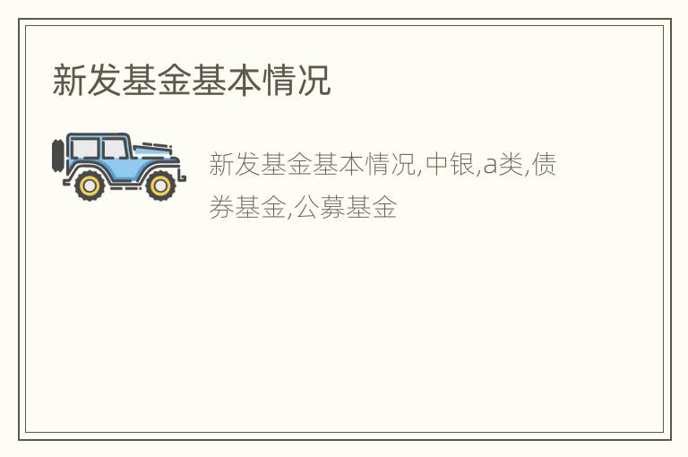 新发基金基本情况