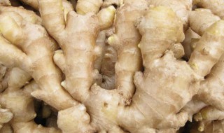 姜发芽了以后还可以吃吗 姜发芽了以后还可以吃吗有毒吗