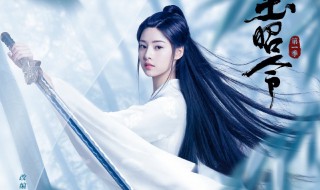 玉昭令插曲是什么歌 玉昭令的简介