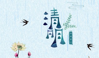 清明节为什么要插柳枝 清明节插柳枝的原因