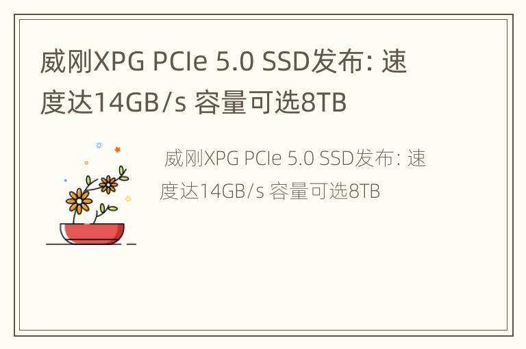 威刚XPG PCIe 5.0 SSD发布：速度达14GB/s 容量可选8TB