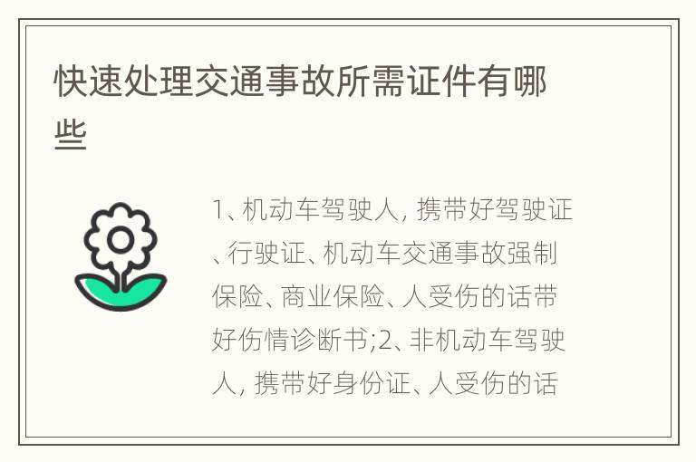 快速处理交通事故所需证件有哪些