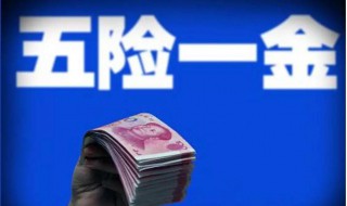 查询五险一金在哪里查 查询五险一金的方法