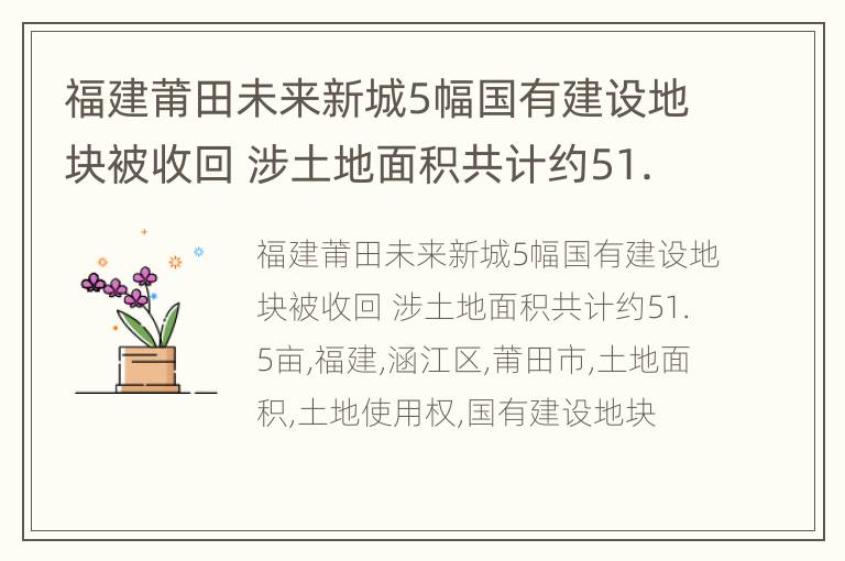 福建莆田未来新城5幅国有建设地块被收回 涉土地面积共计约51.5亩