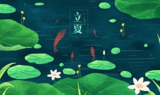 立夏经典语录 关于立夏经典语录
