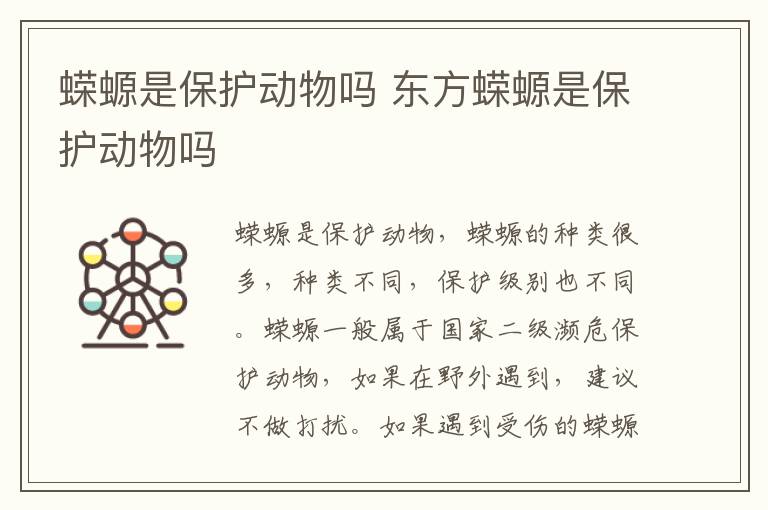 蝾螈是保护动物吗 东方蝾螈是保护动物吗