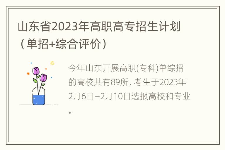 山东省2023年高职高专招生计划（单招+综合评价）