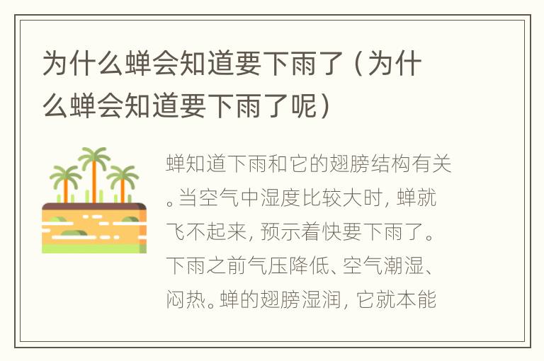 为什么蝉会知道要下雨了（为什么蝉会知道要下雨了呢）
