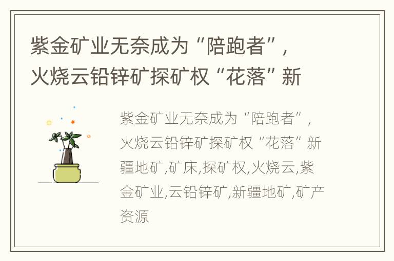 紫金矿业无奈成为“陪跑者”，火烧云铅锌矿探矿权“花落”新疆地矿