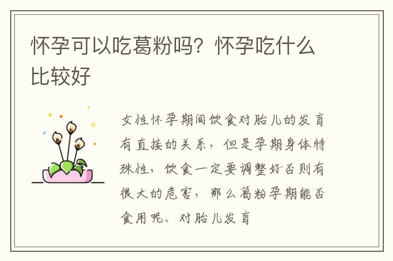 怀孕可以吃葛粉吗？怀孕吃什么比较好