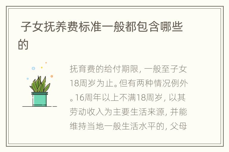  子女抚养费标准一般都包含哪些的
