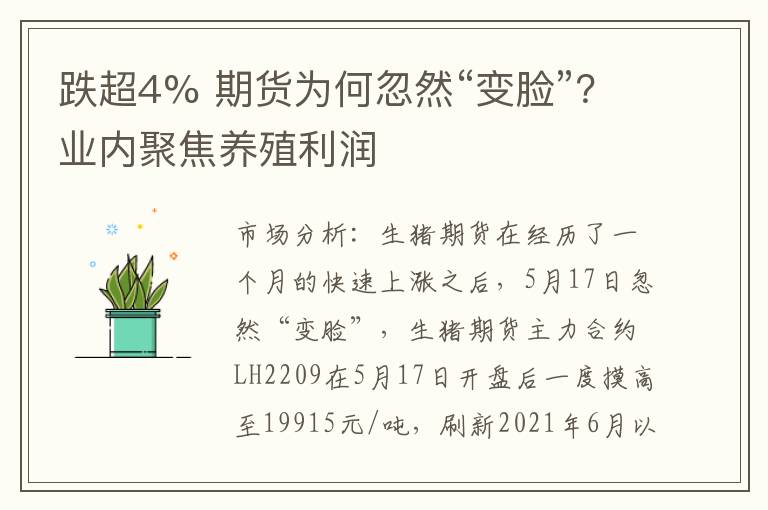 跌超4% 期货为何忽然“变脸”？业内聚焦养殖利润