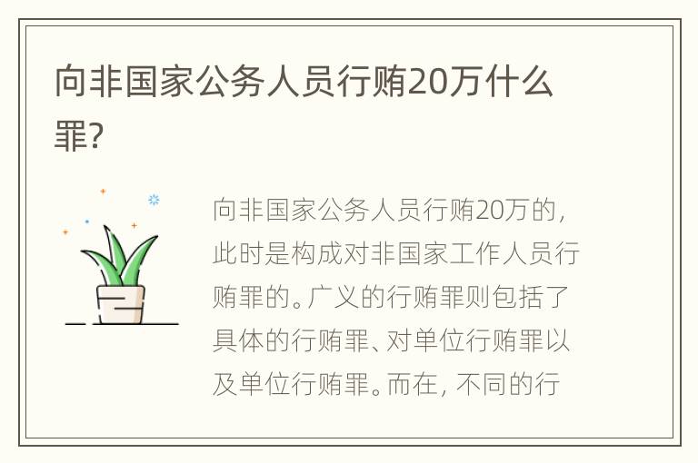 向非国家公务人员行贿20万什么罪？
