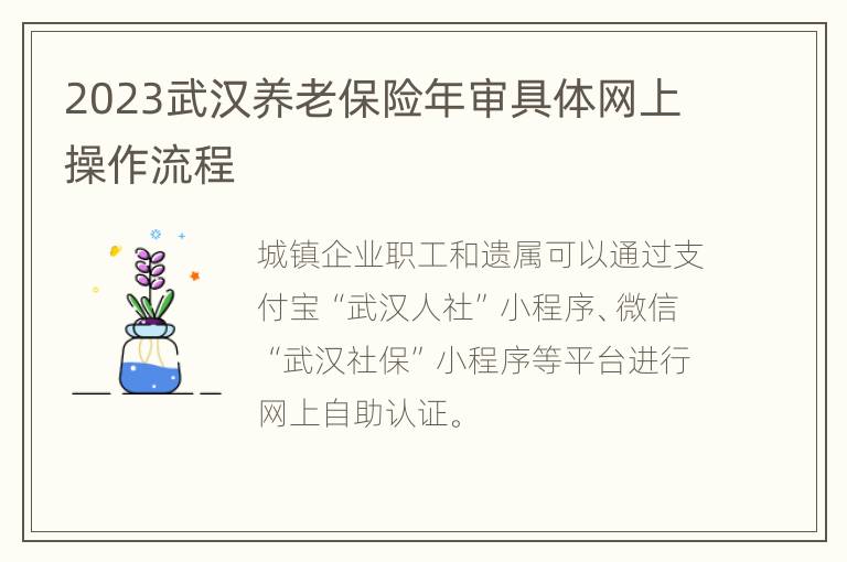 2023武汉养老保险年审具体网上操作流程