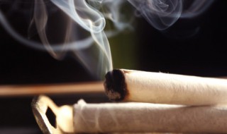 怎么分辨艾柱的好坏 教大家怎么分辨艾柱的好坏