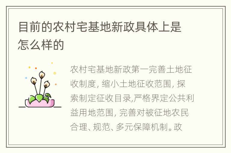 目前的农村宅基地新政具体上是怎么样的