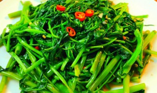 如何制作空心菜 炒空心菜的做法介绍