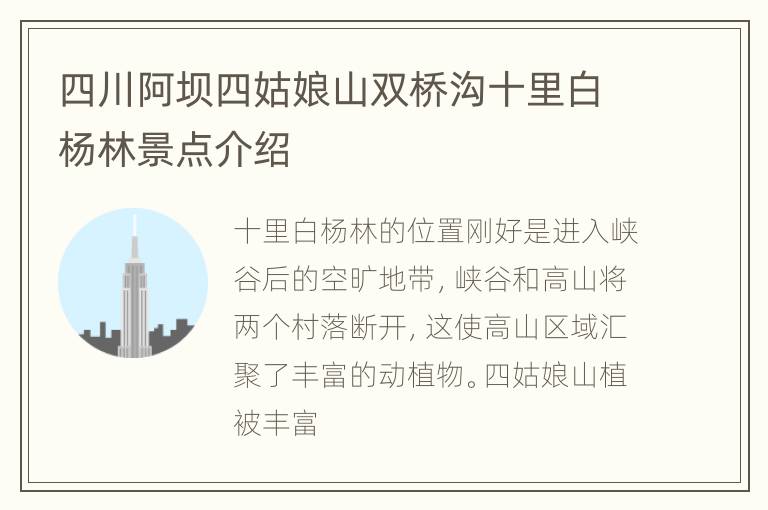 四川阿坝四姑娘山双桥沟十里白杨林景点介绍
