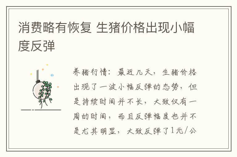 消费略有恢复 生猪价格出现小幅度反弹