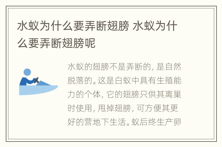 水蚁为什么要弄断翅膀 水蚁为什么要弄断翅膀呢