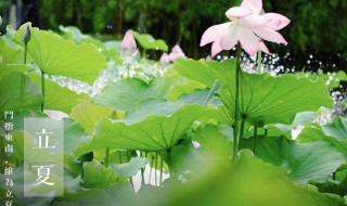 立夏含义 立夏介绍