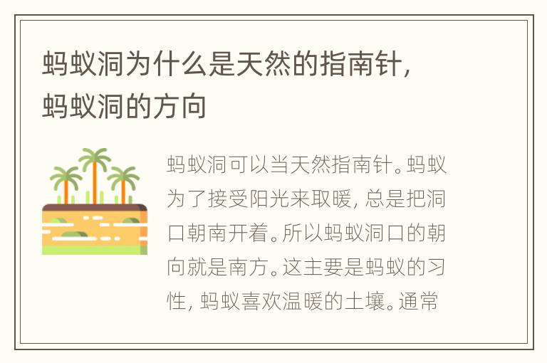 蚂蚁洞为什么是天然的指南针，蚂蚁洞的方向