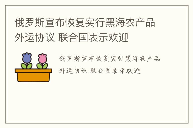 俄罗斯宣布恢复实行黑海农产品外运协议 联合国表示欢迎