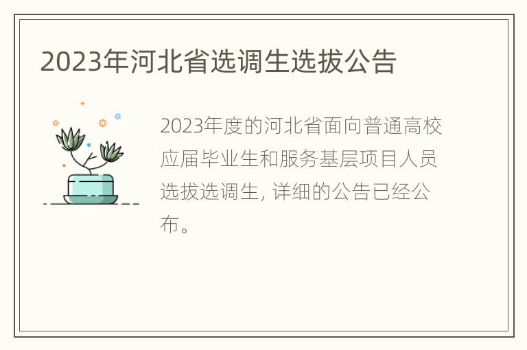 2023年河北省选调生选拔公告