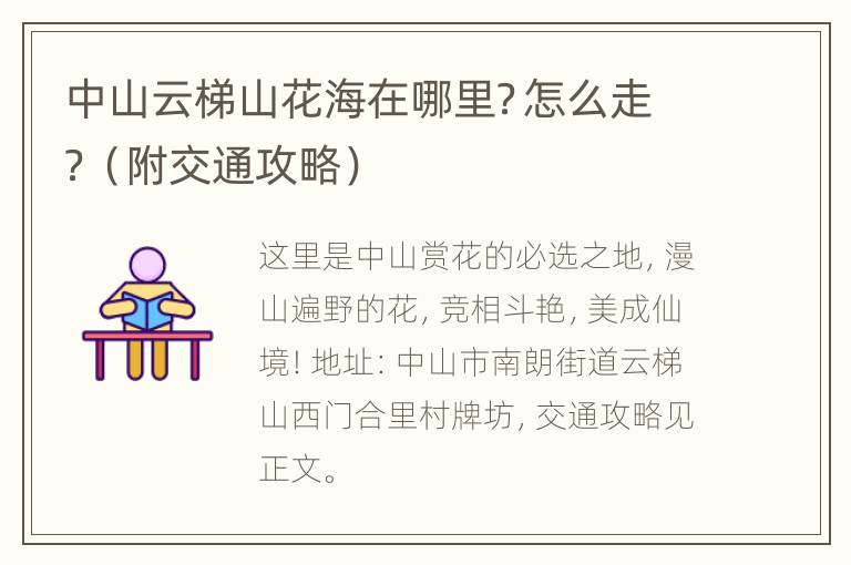 中山云梯山花海在哪里？怎么走？（附交通攻略）