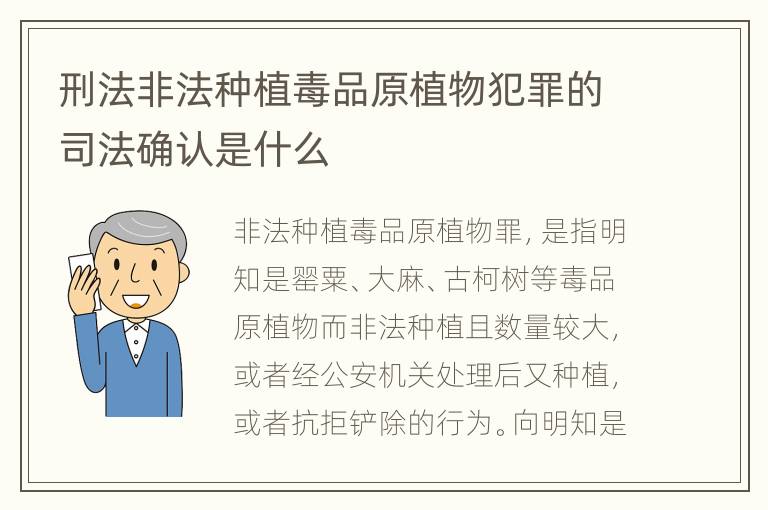 刑法非法种植毒品原植物犯罪的司法确认是什么