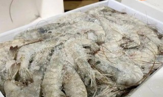 冷冻虾发红了还能吃吗 冷冻虾发红了还能不能吃