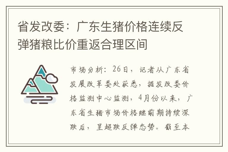 省发改委：广东生猪价格连续反弹猪粮比价重返合理区间