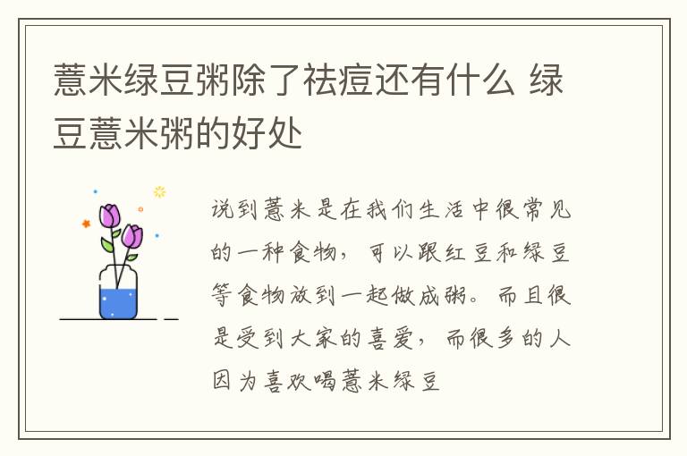 薏米绿豆粥除了祛痘还有什么 绿豆薏米粥的好处