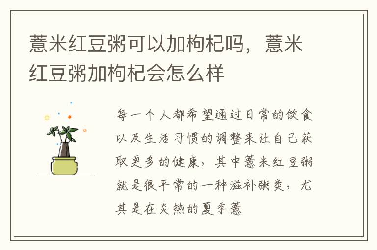 薏米红豆粥可以加枸杞吗，薏米红豆粥加枸杞会怎么样