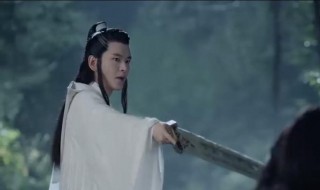 山河令叶白衣喜欢谁 山河令叶白衣的介绍