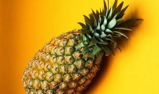 怀孕可以吃菠萝不 孕妇应该怎么吃菠萝