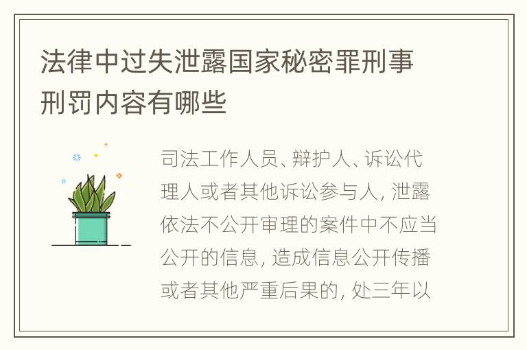 法律中过失泄露国家秘密罪刑事刑罚内容有哪些