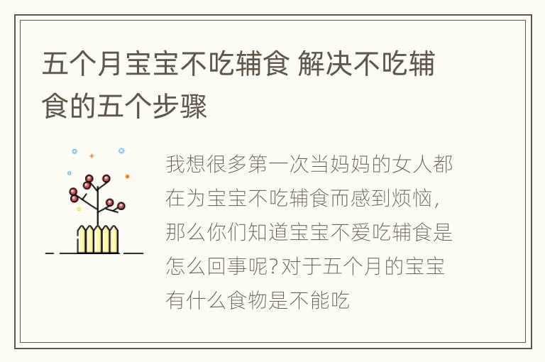五个月宝宝不吃辅食 解决不吃辅食的五个步骤