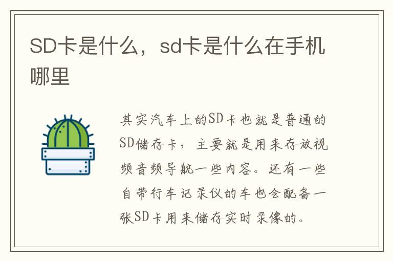 SD卡是什么，sd卡是什么在手机哪里