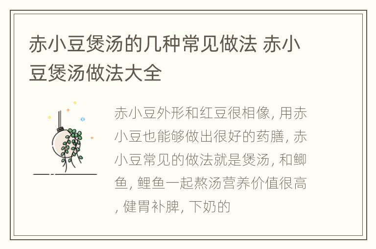 赤小豆煲汤的几种常见做法 赤小豆煲汤做法大全