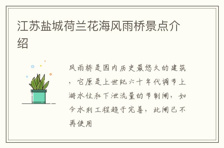 江苏盐城荷兰花海风雨桥景点介绍